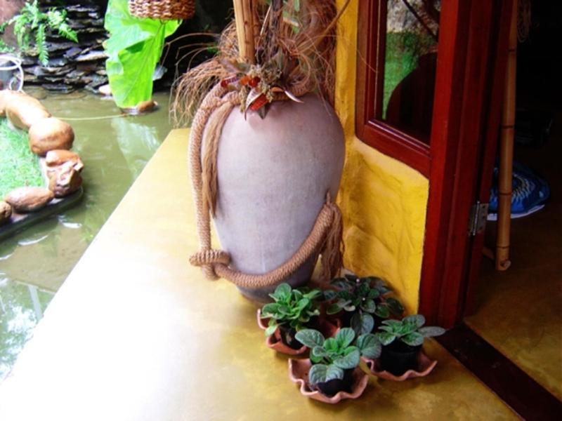 Pousada Bambu Brasil São Jorge Buitenkant foto